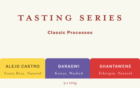 Tasting Series - Classic Processes