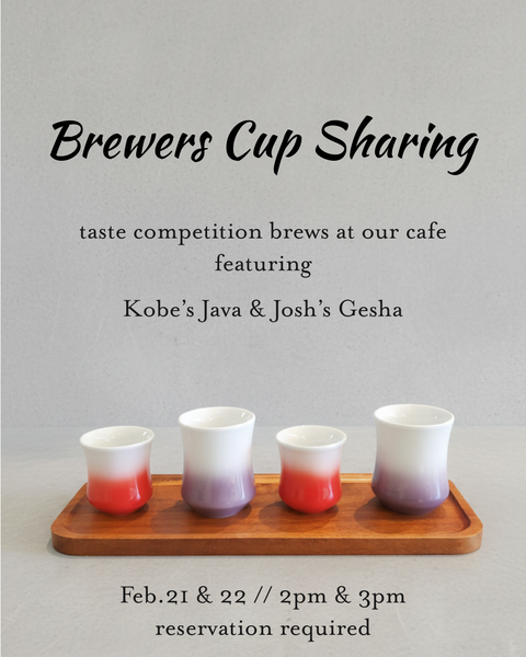 Brewers Cup competition brew